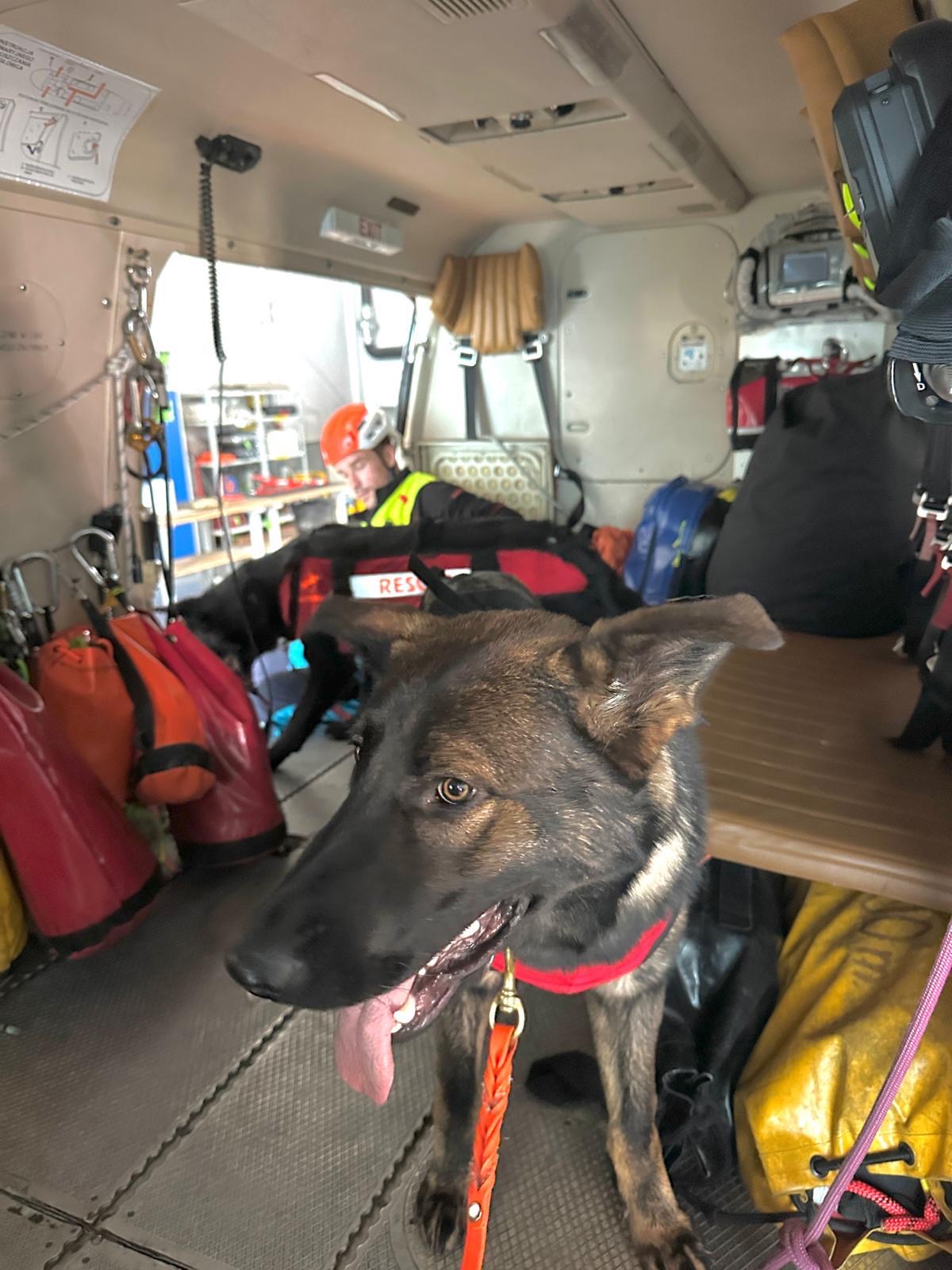 Spoločné cvičenie slovenských a&nbsp;poľských kynológov